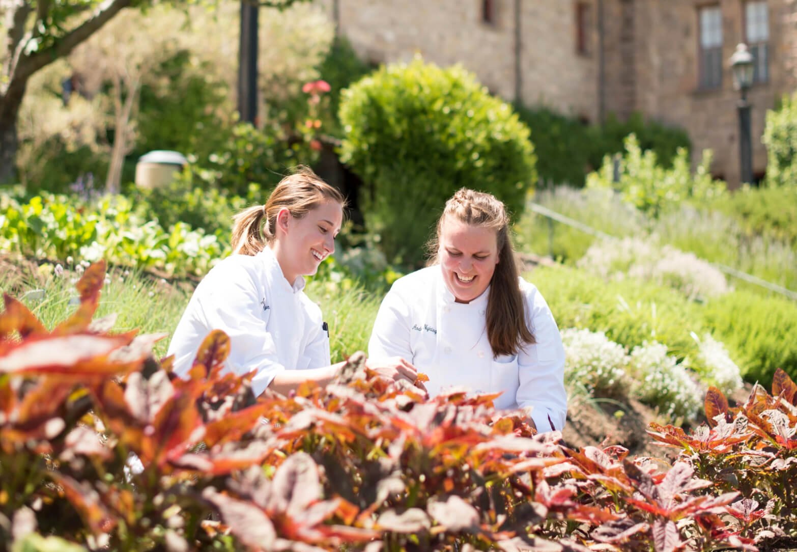 Two women in white chef coats are smiling and picking herbs in a lush garden with various plants and greenery. A stone building and more greenery are visible in the background, <a href=