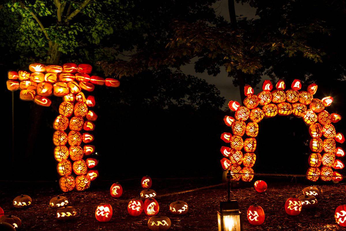 5 Things Hudson Valley Fall Pumpkin