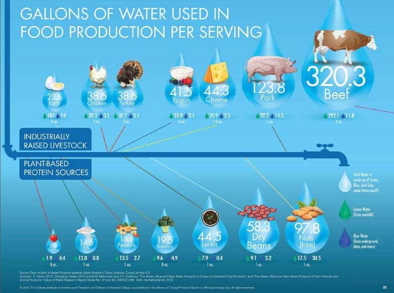 3 SustainableFoodSystems