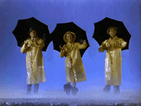 4 6 gifs