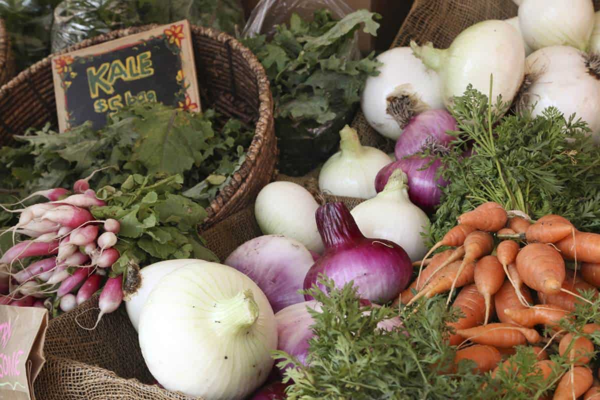 5 Things Hudson Valley Fall Farmer's Market