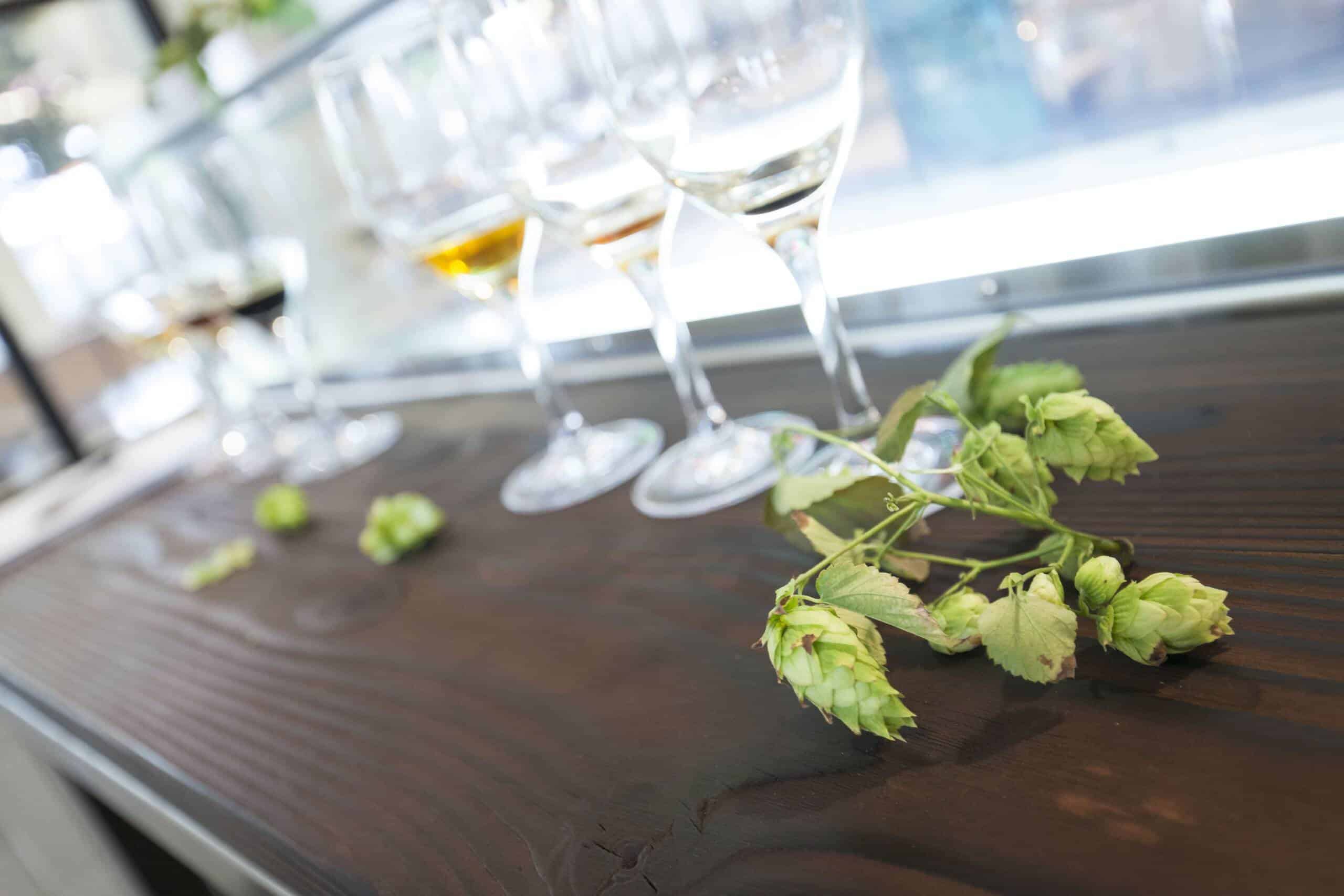 Beer class in The Brooklyn Brewery