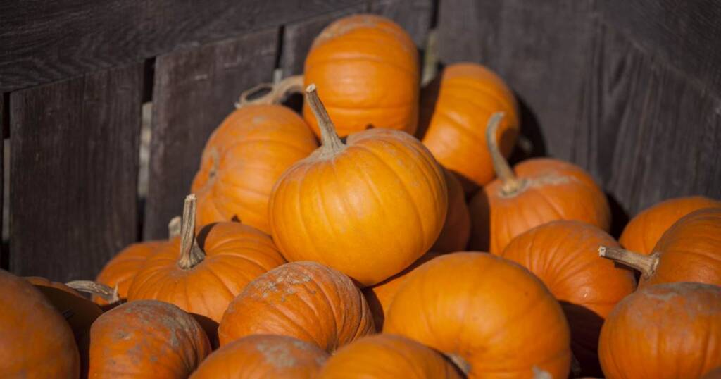 4 Adult Pumpkin Recipes OG
