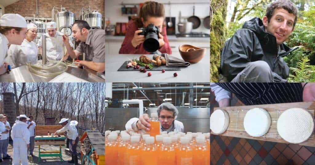 A collage of six images: chefs in a kitchen, a person photographing food, a smiling person in an outdoor setting, beekeepers inspecting a hive, a person bottling orange liquid, and a close-up of hands holding cheese rounds.