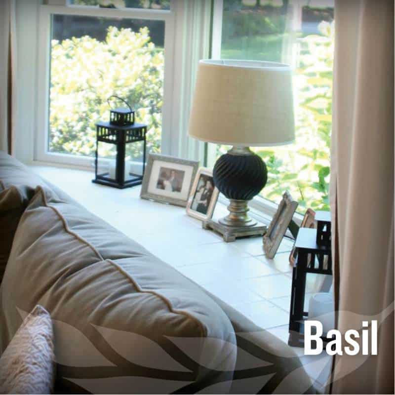 fathers day - Basil