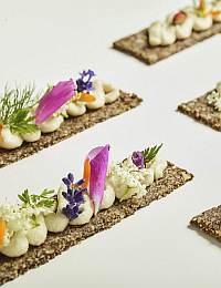 Rectangular pieces of gourmet bread crisps, topped with dollops of creamy spread, various herbs, and flower petals, are arranged in a parallel pattern on a white surface. The presentation is elegant and visually appealing.