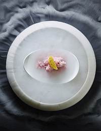 An elegant dish with a modern presentation is shown on a white, circular plate placed atop a larger, textured surface. The food, centered and minimalist, appears to be a pink, finely-chopped or grated ingredient garnished with a small yellow element.