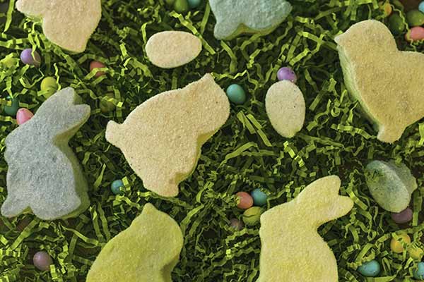 Easter-themed cookies in various shapes, including bunny rabbits, chicks, and eggs, lie on a bed of green shredded paper with small, colorful chocolate eggs interspersed.