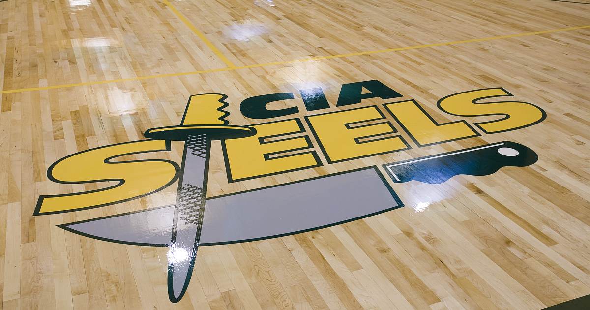 steels basketball og image