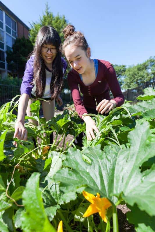 teaching-garden-PM_20160630_Garden_221