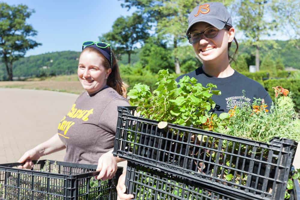 teaching-garden-PM_20160630_Garden_259