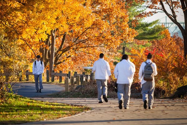 Four people walking on a park path during autumn, surrounded by vibrant orange and yellow leaves. One individual walks alone to the left, while three others walk together on the right. The scene is bathed in warm sunlight with trees lining the path.