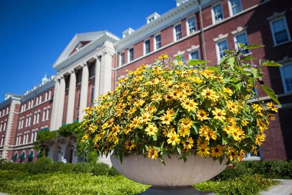 A large stone planter filled with bright yellow flowers is in the foreground. Behind it, there is a stately red brick building with white columns and architectural details under a clear blue sky. The surrounding area is lush with greenery.