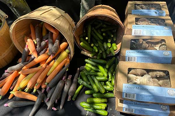 CIA Seasonal Pop-Up Market - Fresh Produce