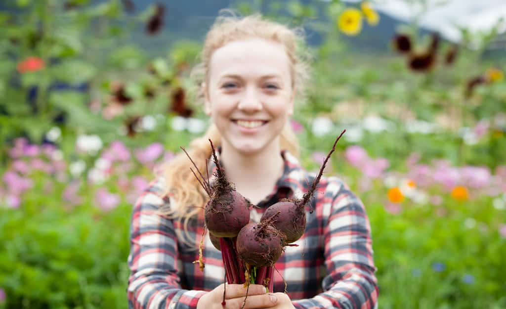 Custom-Fit Education - CIA Student with Beets