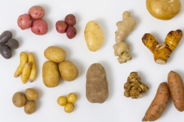 Image of tubers and rhizomes.