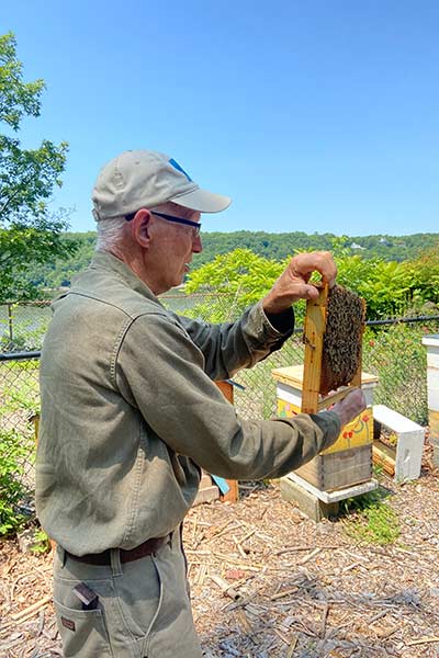 Image of a man in the CIA apiary.
