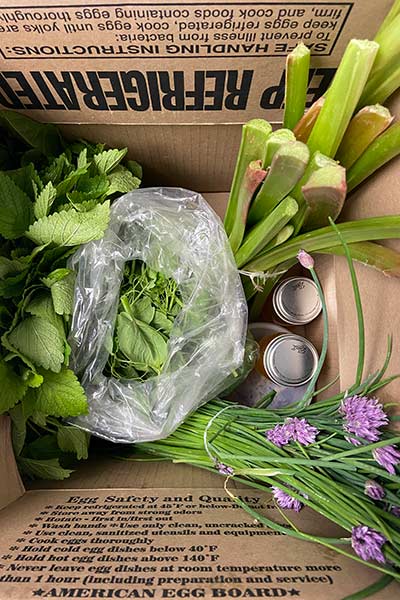 Image of leafy greens from a CIA student garden.