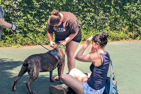 Image of CIA students petting a dog.