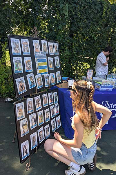 Image of a CIA student looking at photos of pets available to adopt.