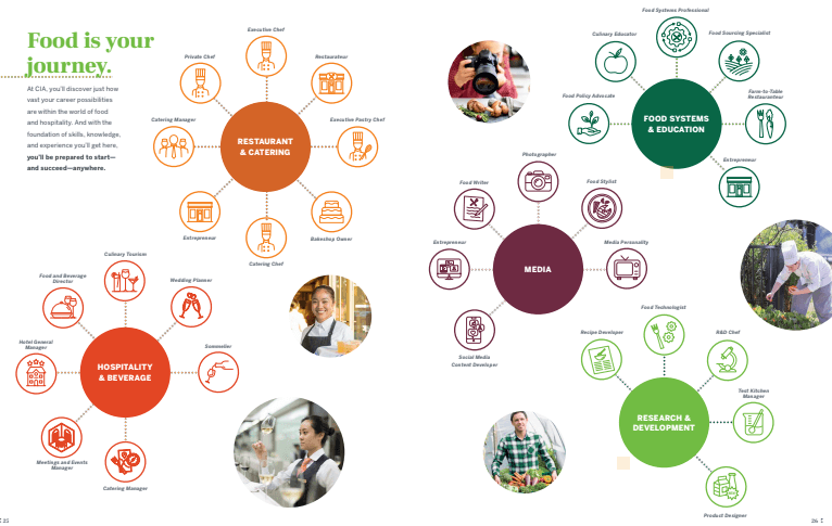 graphic showing different routes to take in you career related to food including restaurant and catering, media and more